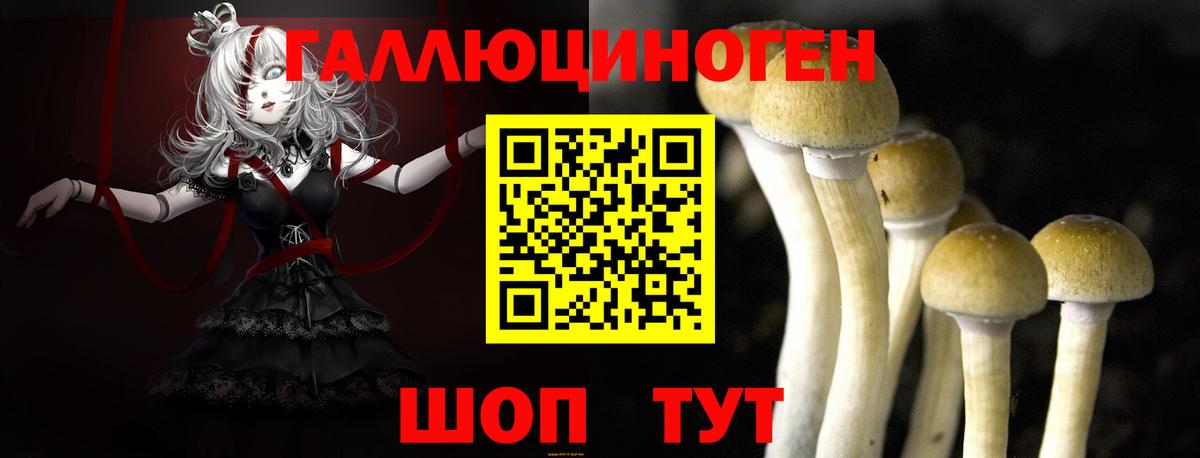 Псилоцибиновые грибы прущие грибы Тихвин